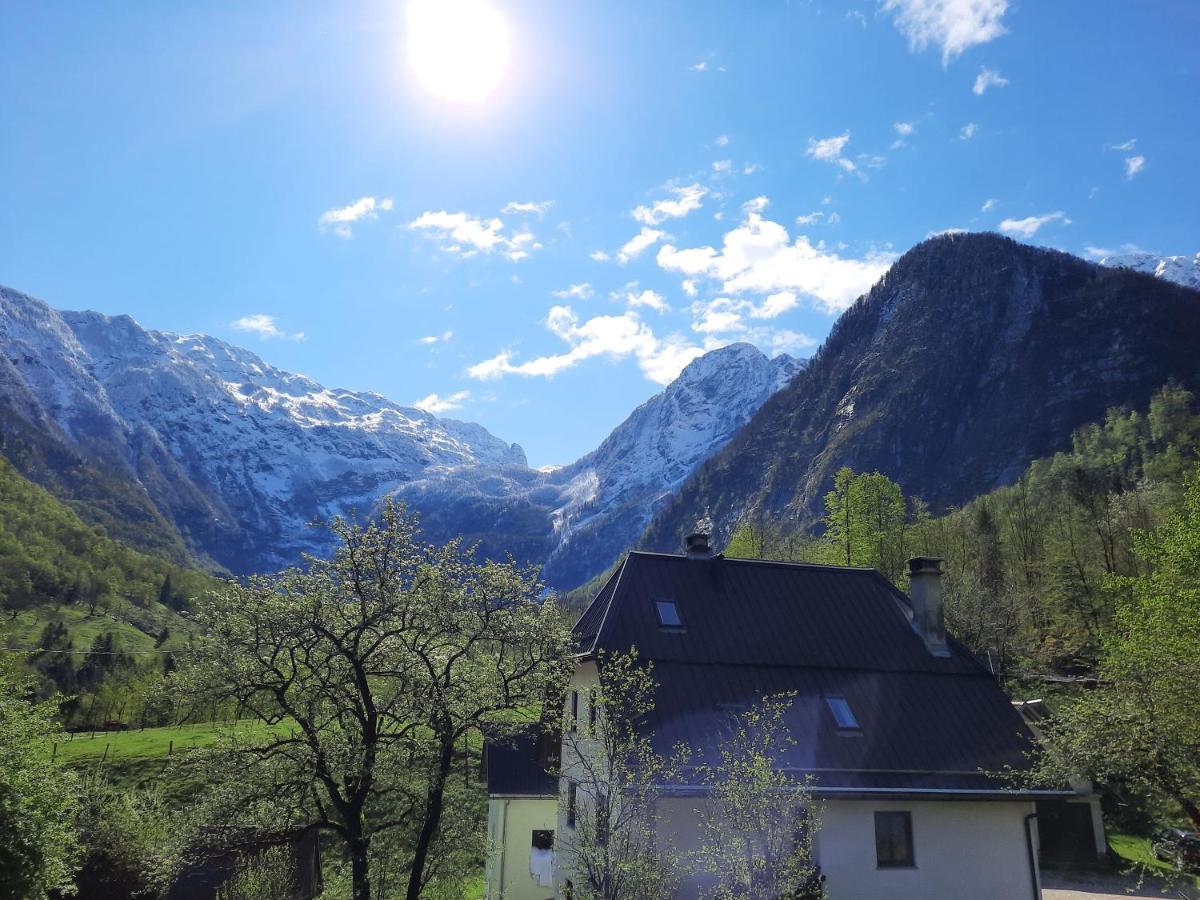 Apartment Pretner, Lepena Soča Kültér fotó