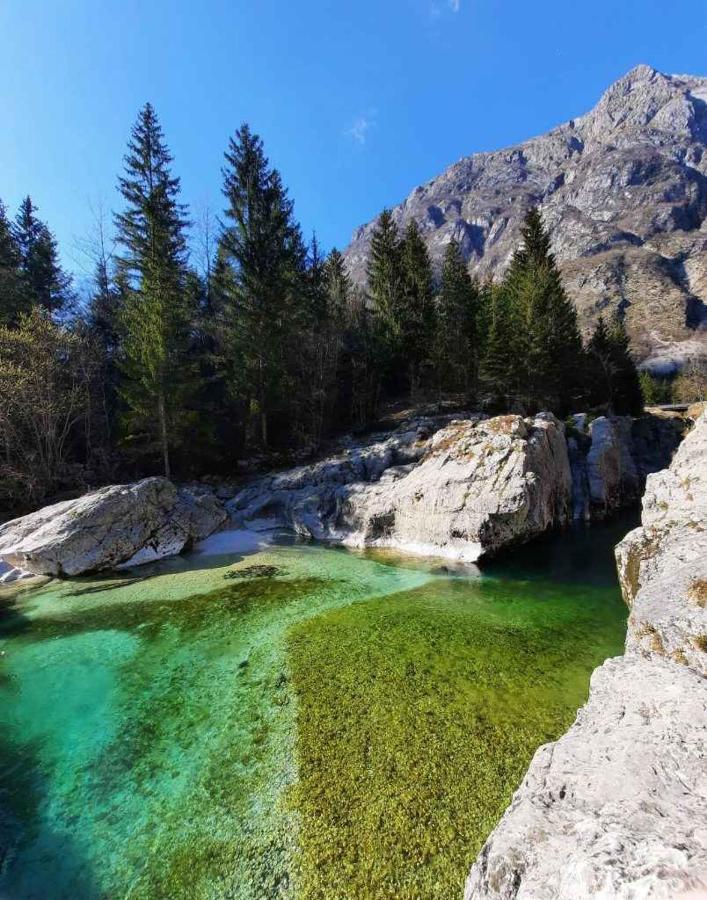 Apartment Pretner, Lepena Soča Kültér fotó