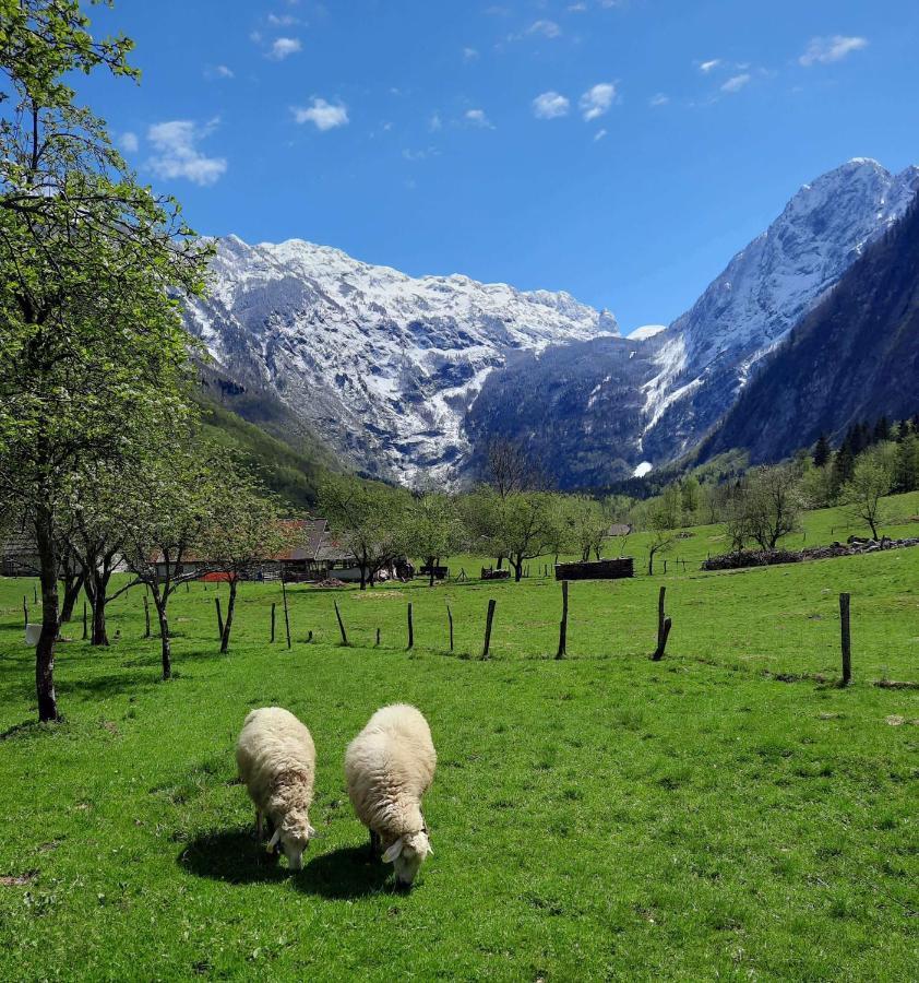 Apartment Pretner, Lepena Soča Kültér fotó