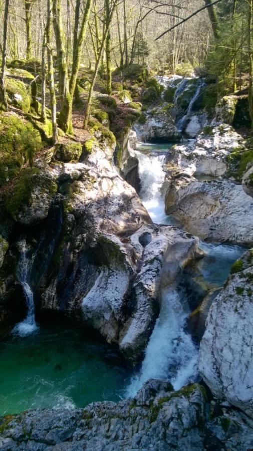 Apartment Pretner, Lepena Soča Kültér fotó